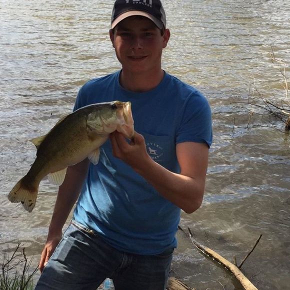 Meet your Posher, Daniel - Picture 1 of 1